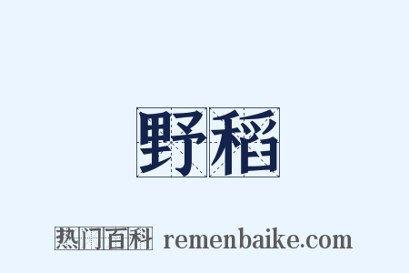野稻是什么意思的图片